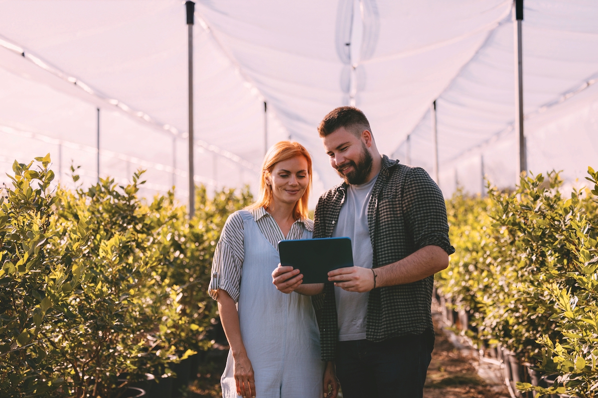 A man and woman use a tablet to analyze plants inside a sunny greenhouse