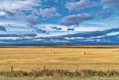 Farm and barn in rural Alberta Canada