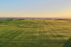 ‘The more we are able to evaluate production practices and share that information, the better it is for all producers.’ – Roy Newman.