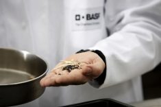 (Photo courtesy BASF SE)