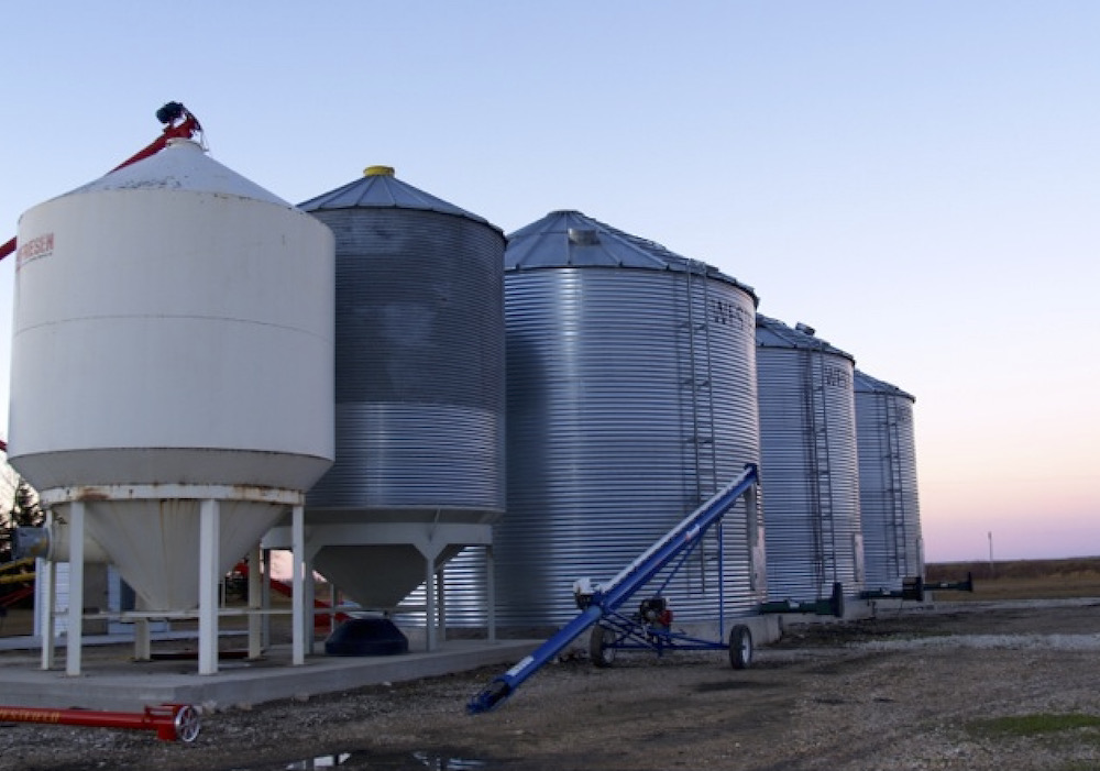 Research based on the financial statements of almost 3,000 Illinois corn and soybean farmers suggests farmers in aggregate are likely to sell four per cent more of their stored grain every time capital costs go up by one per cent.  Photo: File
