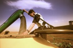 man filling a grain seeder