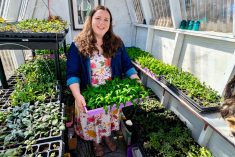 Although the yard is brown in late April, Kristen Raney’s greenhouse is glowing green with blooms that will supply up to 20 weddings and 10 markets in 2025.