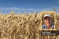 The agronomist wish list: Fred Wood