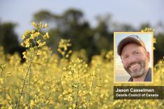 canola plants with a photo of Jason Casselman as an inset