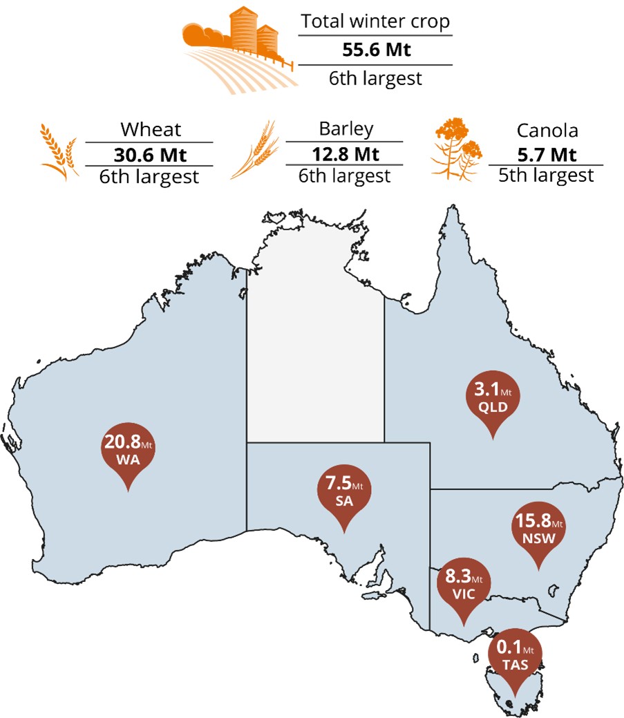 Australia forecasts wheat output down 10 per cent on dry conditions