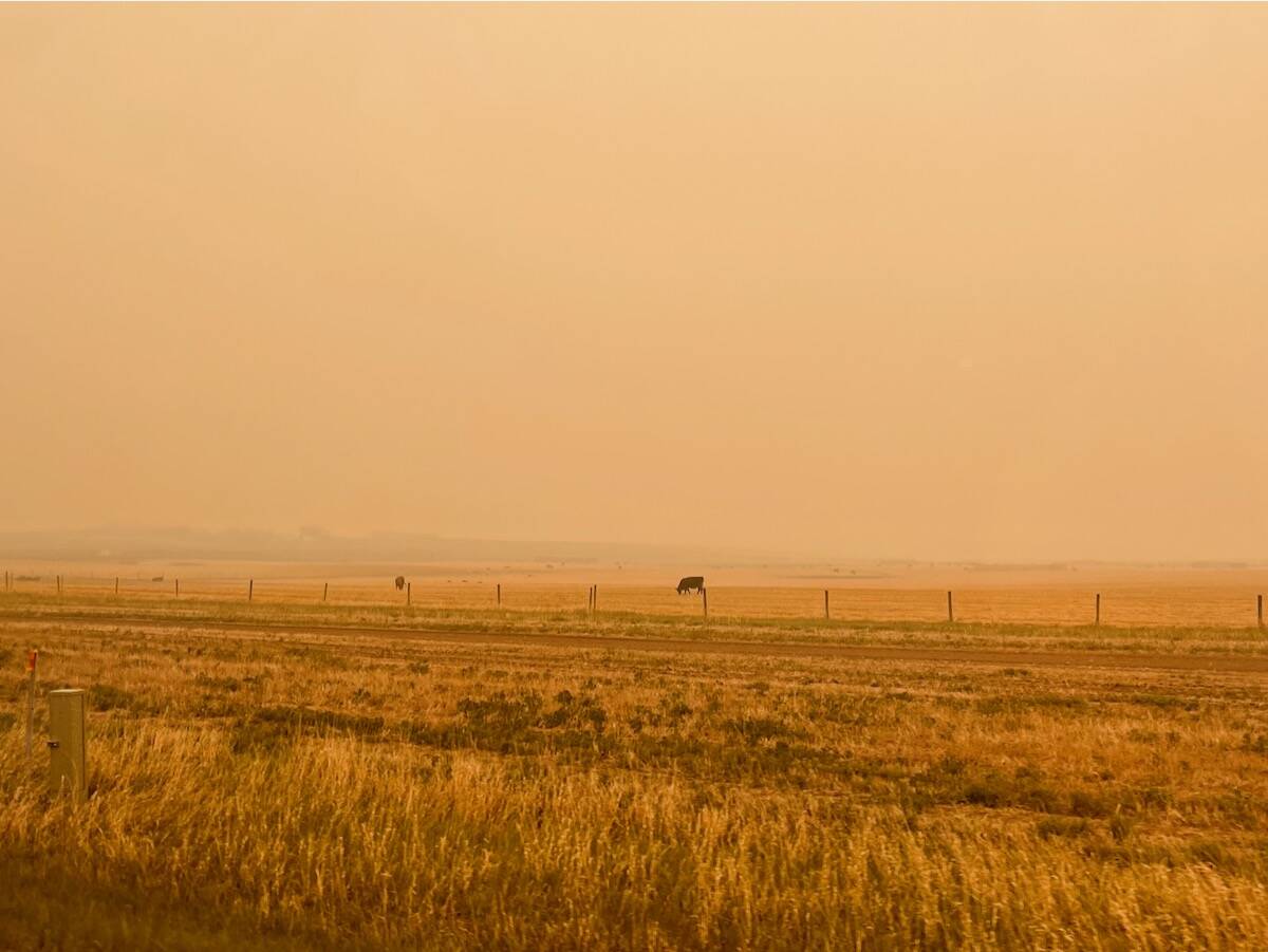 Wildfire smoke outside Calgary, August 2023. Photo: Sneha Annie Sebastian/iStock/Getty Images
