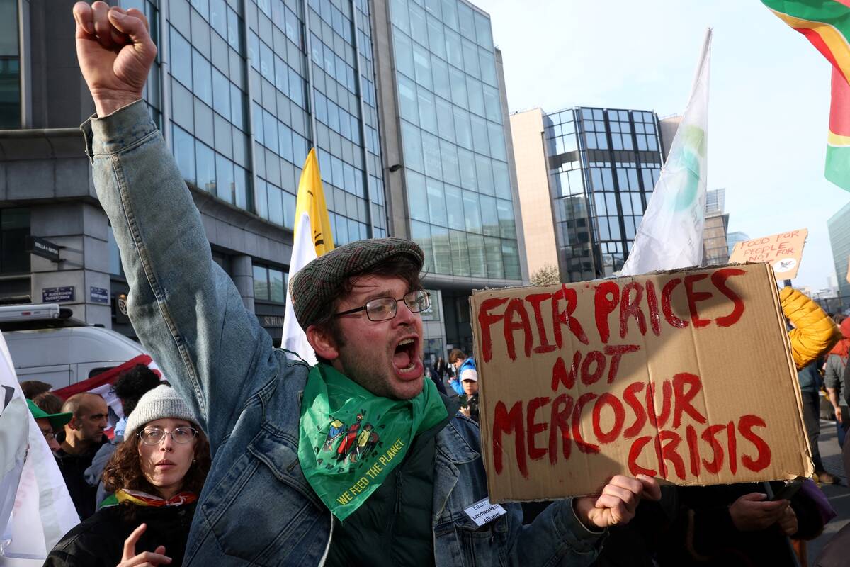 EU farmers raise alarm over Mercosur, Ukraine trade deals
