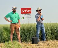 greg stamp and rob graf at a winter wheat field