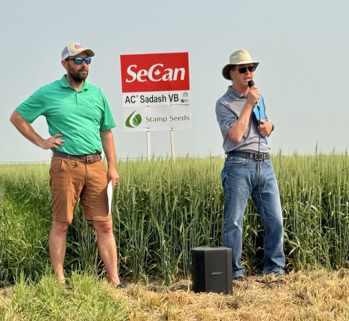 Build your farm with these entrepreneurial skills 