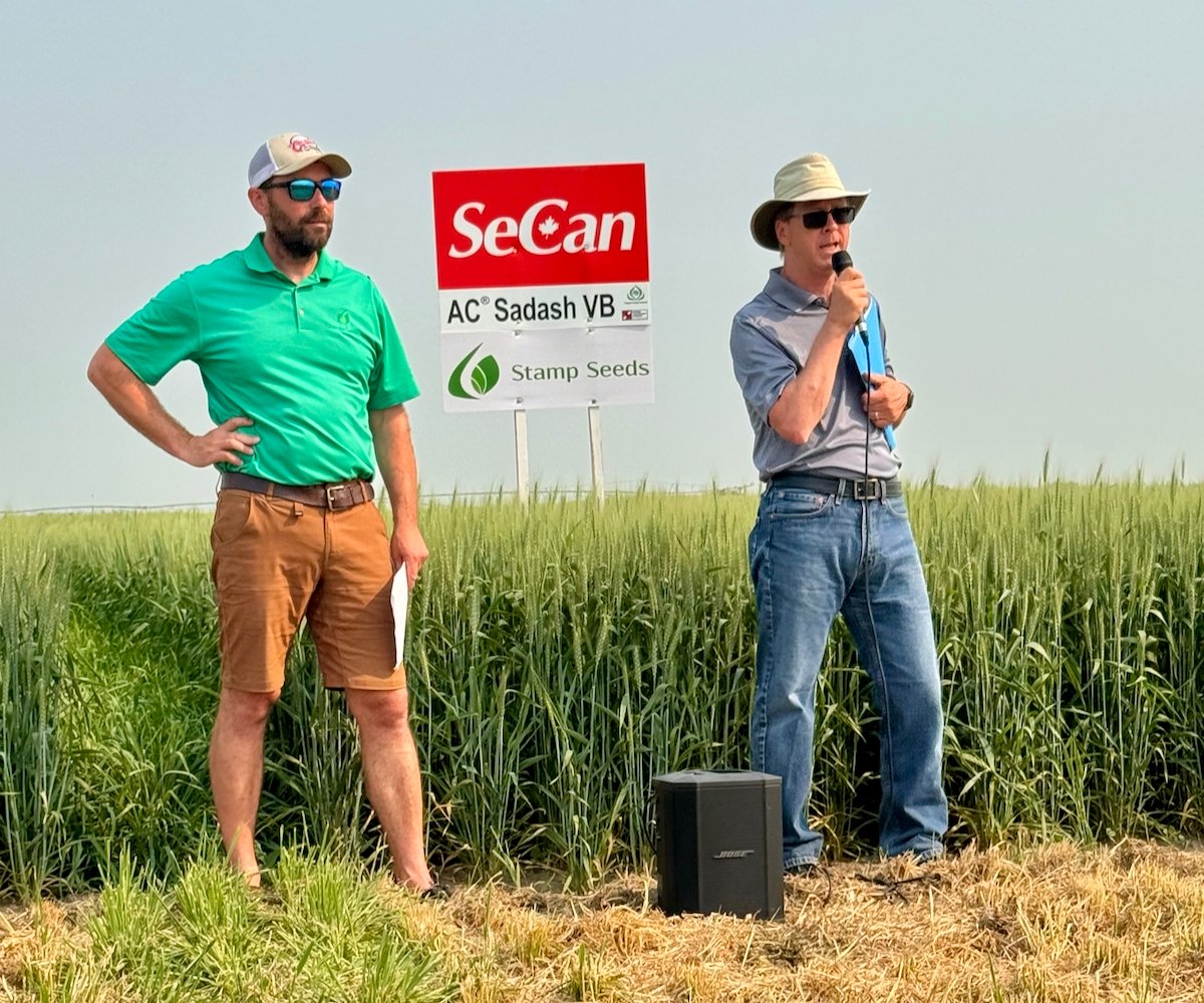 greg stamp and rob graf at a winter wheat field