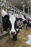 Supply management bill goes straight to Senate