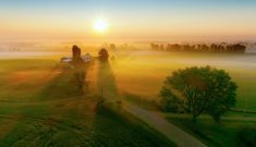 Silos and trees cast long shadows in fog at sunrise, scenic rural landscape, aerial view.