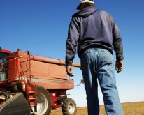 Farmer in blue jeans and a hoodie walking toward a red combine.