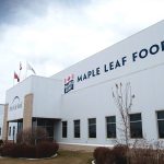 The Maple Leaf plant in Brandon, Man. Photo: Supplied