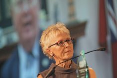 Dori Gingera-Beauchemin served as Manitoba’s deputy agriculture minister for many years before retiring in 2023. She is one of the 2025 inductees to the Canadian Agricultural Hall of Fame. Photo: File