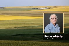 A photo of Georg Lubberts with farm fields in the background
