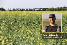 Profile photo of Scott Gillespie and a field of canola in the background
