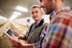 two farmers in a chicken barn. one of them is holding a digital tablet