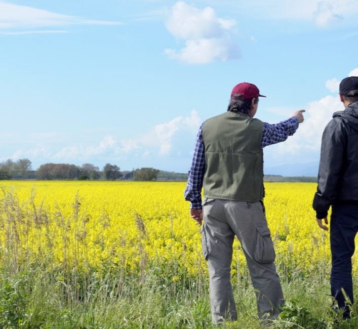 Ground rules for farm family communications