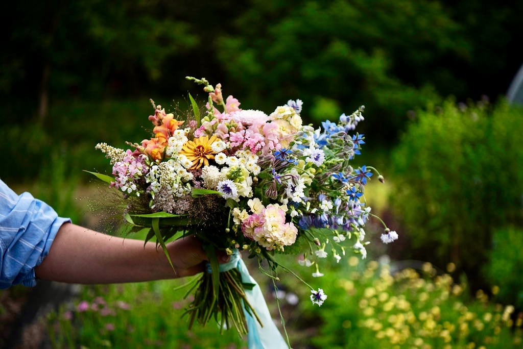 bouquet of flowers