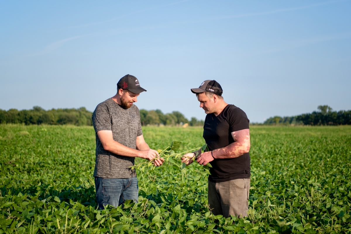 DJ Wassenaar and business partner Matt Bergman in a soybean field
