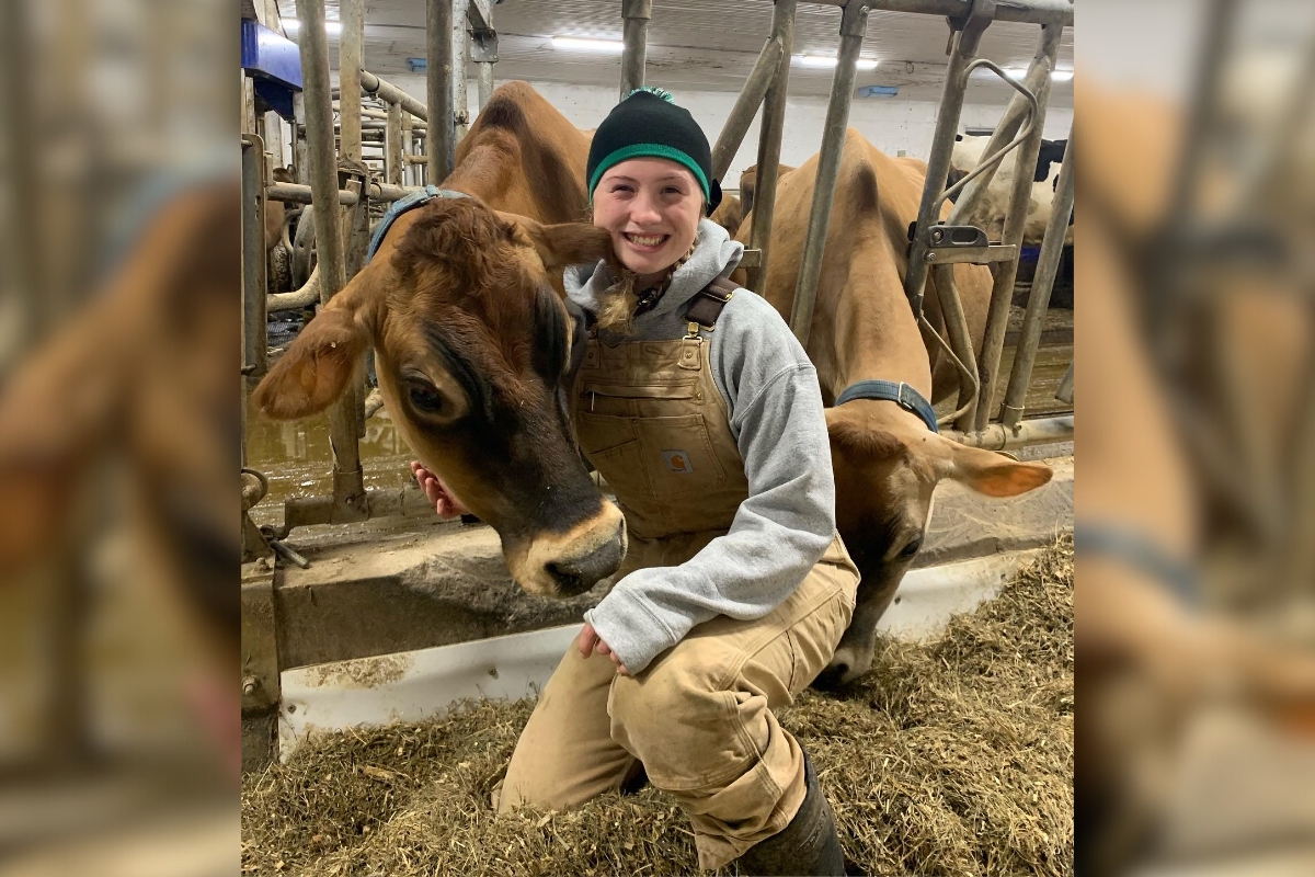 a young woman poses with dairy cattle in a barn