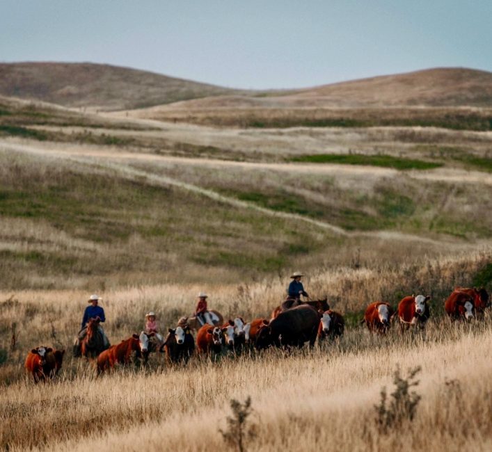 Adapting, innovating and thriving in Saskatchewan agriculture
