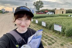 youn woman wearing a ball cap with wheat plots in the background at a farm show