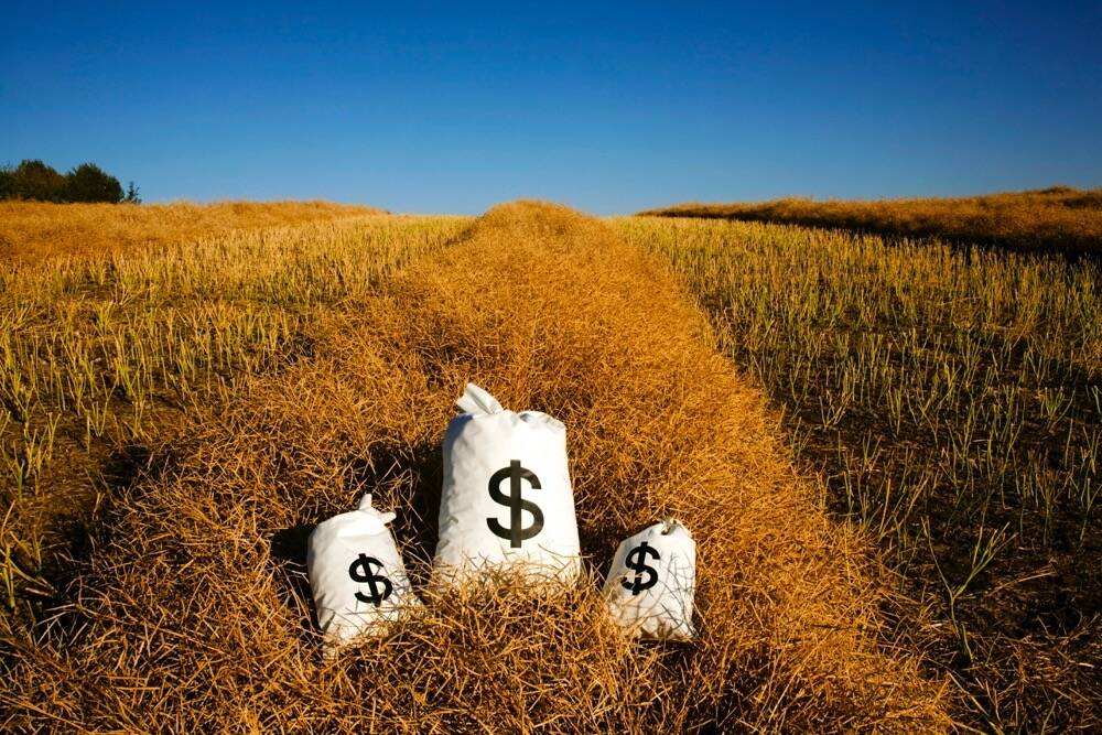 Photo: Thinkstock