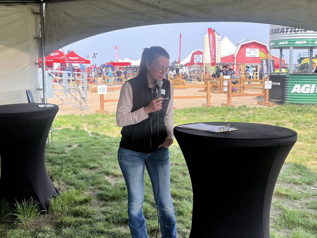 U.S. livestock: CME live cattle bounce back on bargain buying