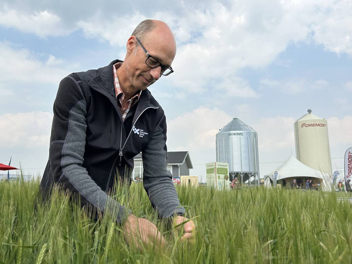 U.S. grains: Soybeans end higher in choppy trade
