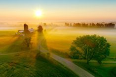 Silos and trees cast long shadows in fog at sunrise, scenic rural landscape, aerial view.