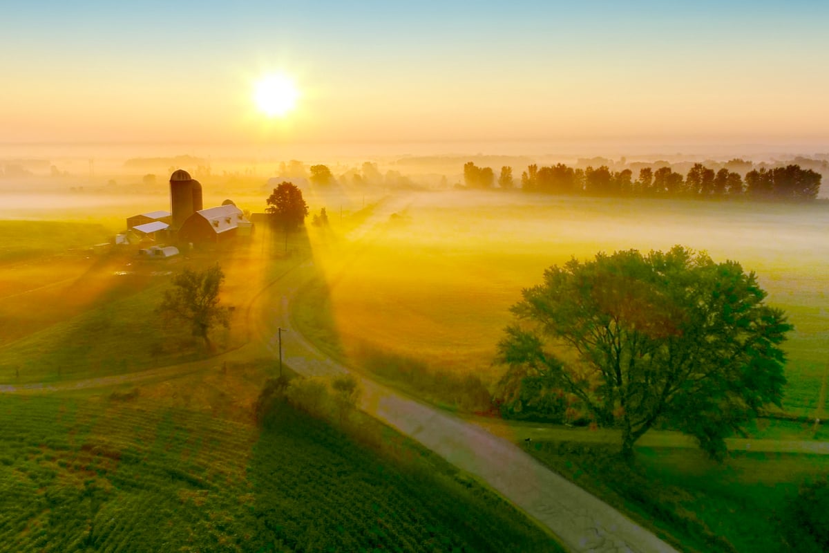 Silos and trees cast long shadows in fog at sunrise, scenic rural landscape, aerial view.