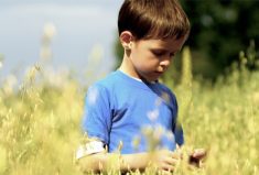 a young boy standing in an oat field