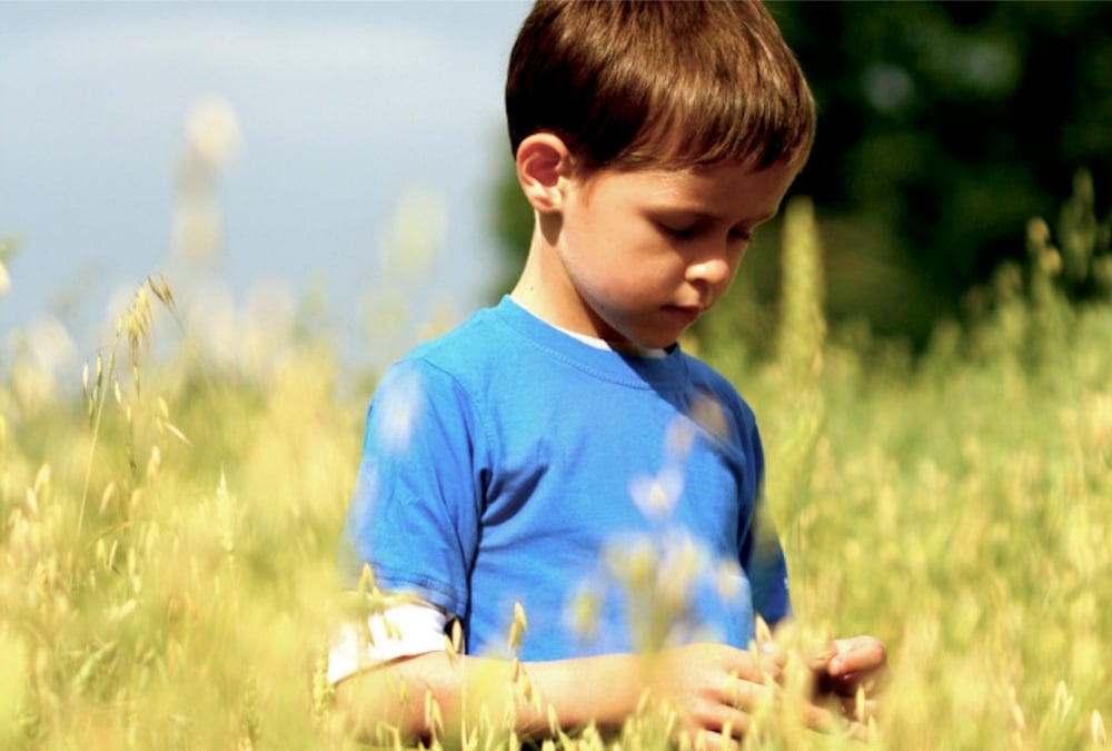 a young boy standing in an oat field