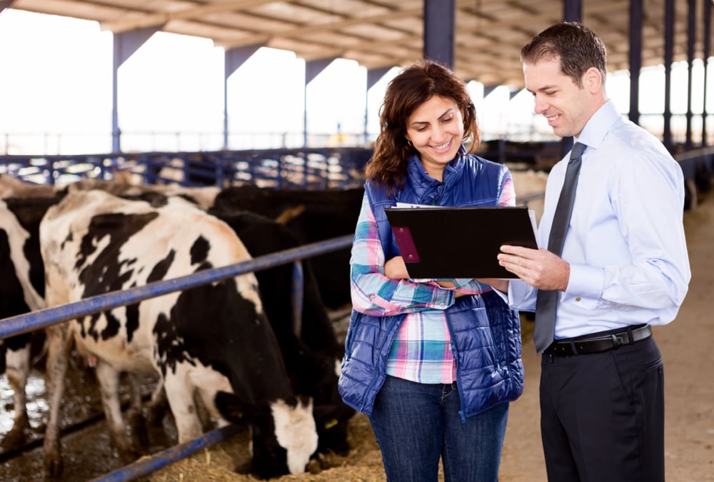 Young farmer talking with her financial advisor