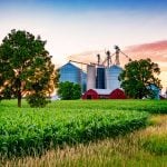 Farm at sunset near Brantford in Southwestern Ontario