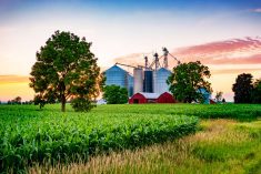 Farm at sunset near Brantford in Southwestern Ontario
