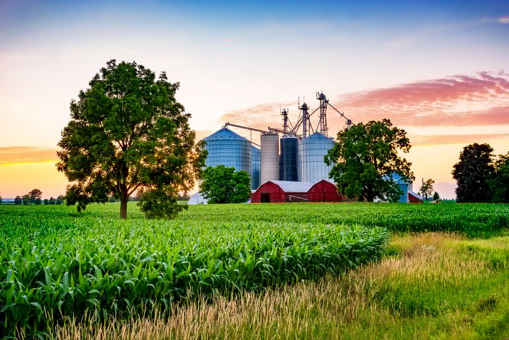Farm at sunset near Brantford in Southwestern Ontario