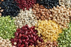 (Piyaset/iStock/Getty Images)