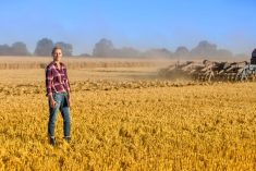 woman standing in a field of wheat stubble