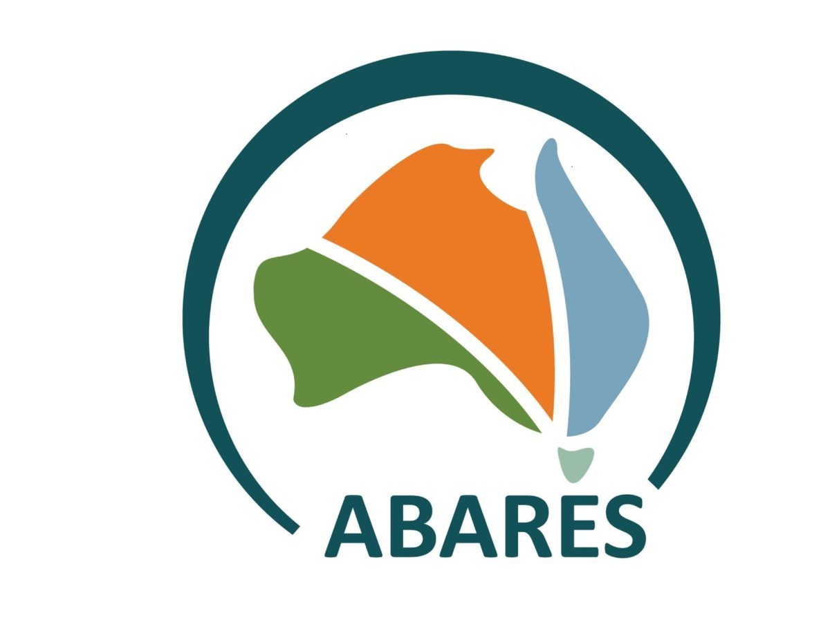 Prairie cash wheat: Prices fall back, more so for CWRS, CPSR