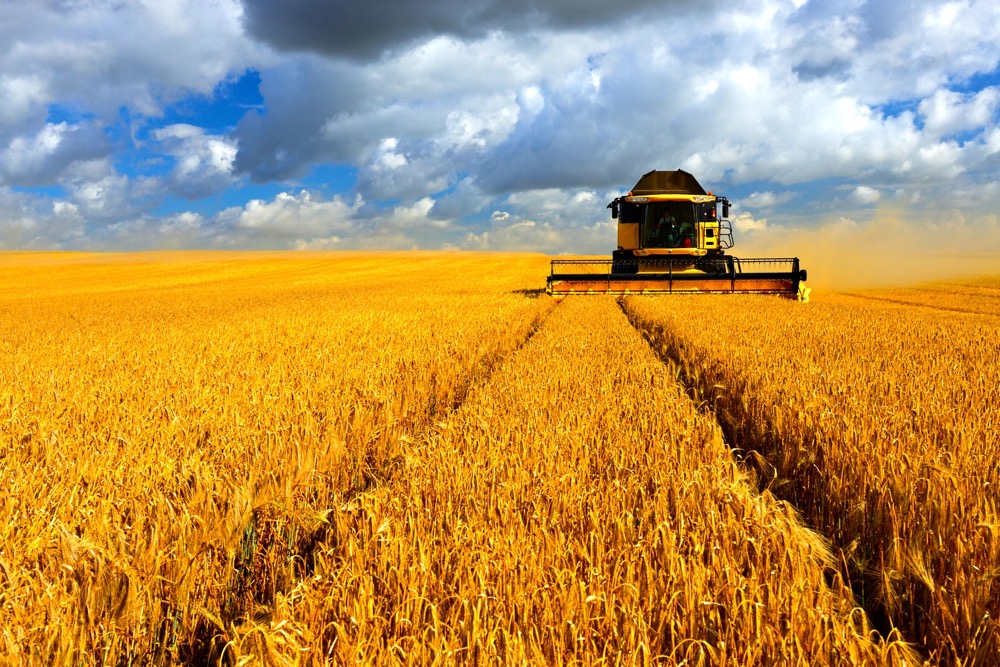 The harvest in Saskatchewan advanced 13 points for the week ended Sept. 16, at 74 per cent complete, despite rain in some parts of the province. Photo: Thinkstock