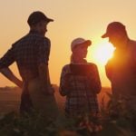 Sibling issues in farm succession