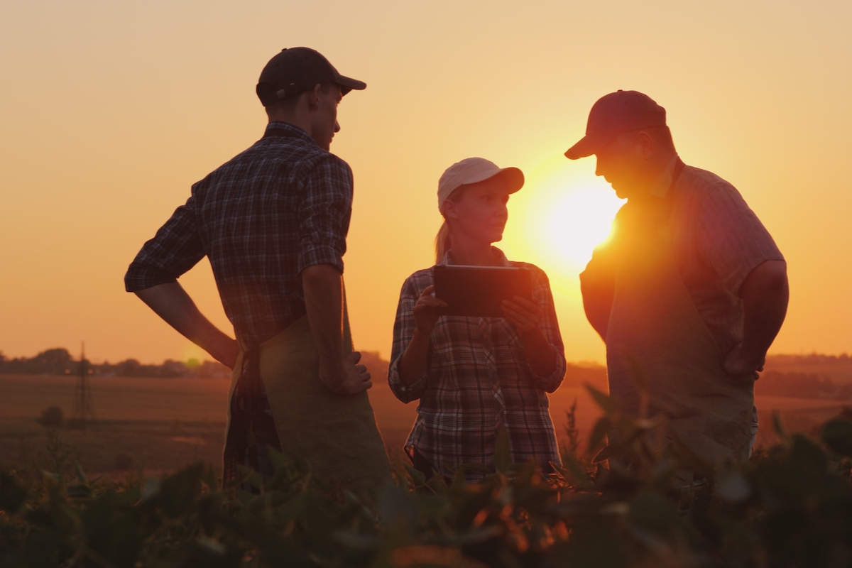 Three farmers talking in a farm field.