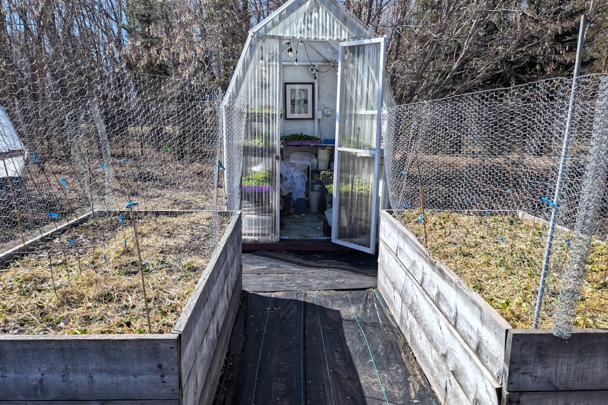 small backyard greenhouse with empty flower beds