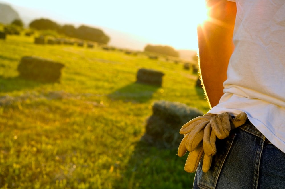 farmer sanding in a field with bales in the background