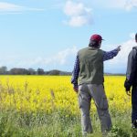 two farmers standing near a canola field with a vlue sky in the background