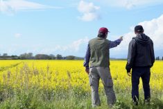 two farmers standing near a canola field with a vlue sky in the background